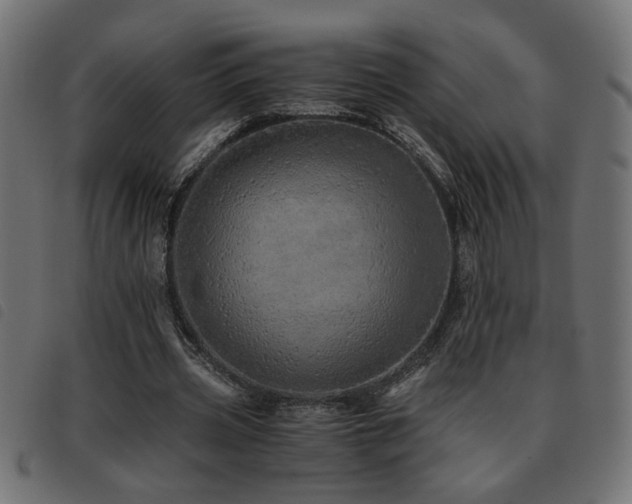 X0000093440533200710121335