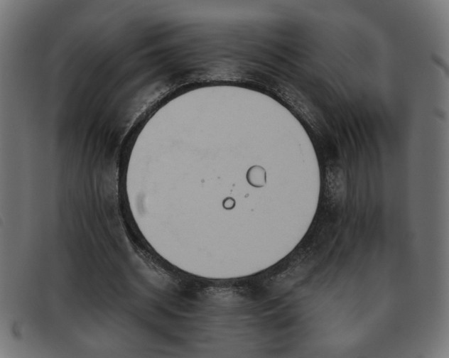 X0000093440534200710121335