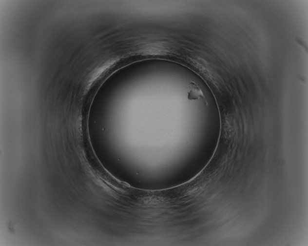 X0000093440535200710121335