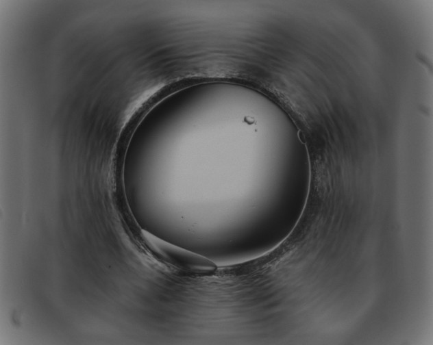 X0000093440536200710121335