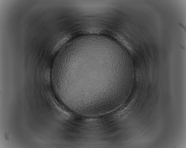 X0000093440537200710121335