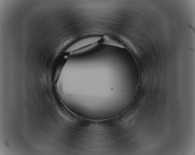 X0000093440538200710121335