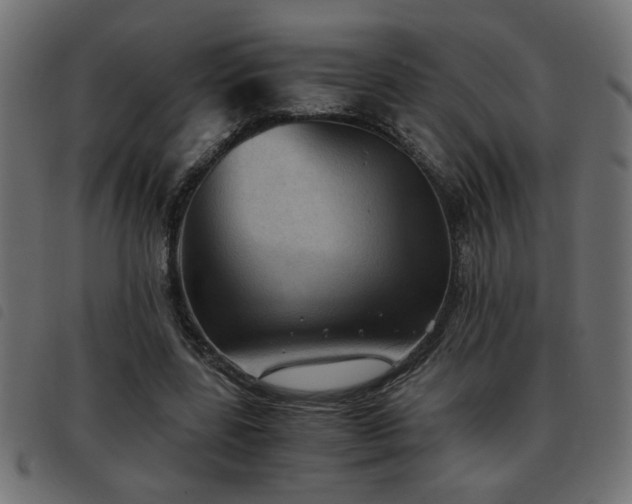 X0000093440539200710121335