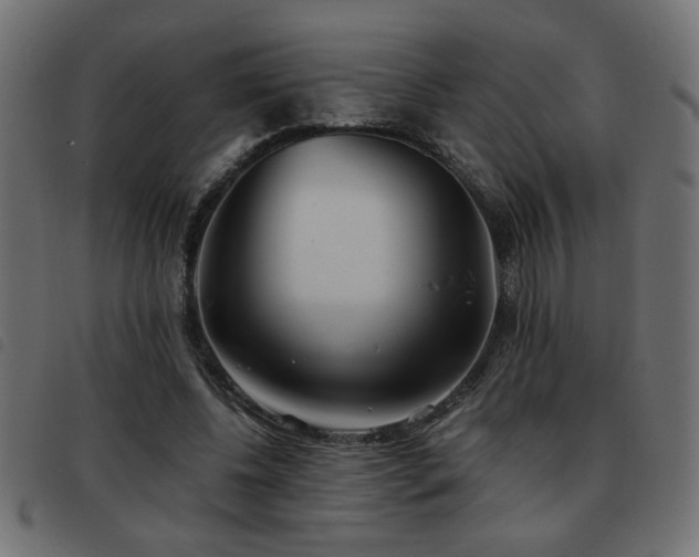 X0000093440540200710121335