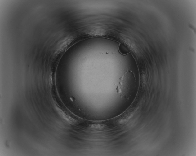 X0000093440541200710121335