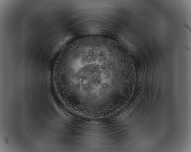X0000093440542200710121335