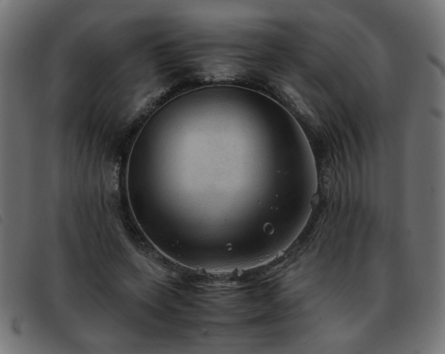 X0000093440543200710121335