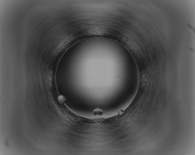 X0000093440544200710121335