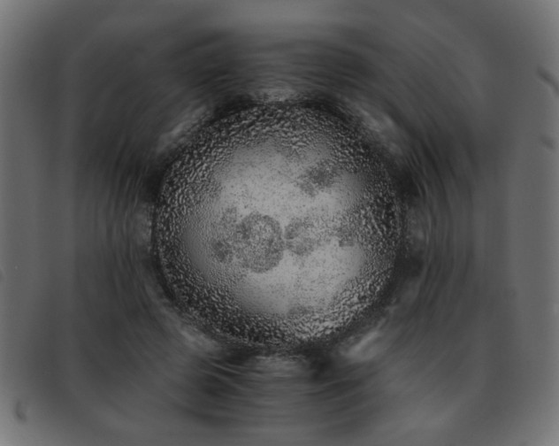 X0000093440545200710121335