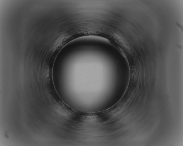 X0000093440548200710121335