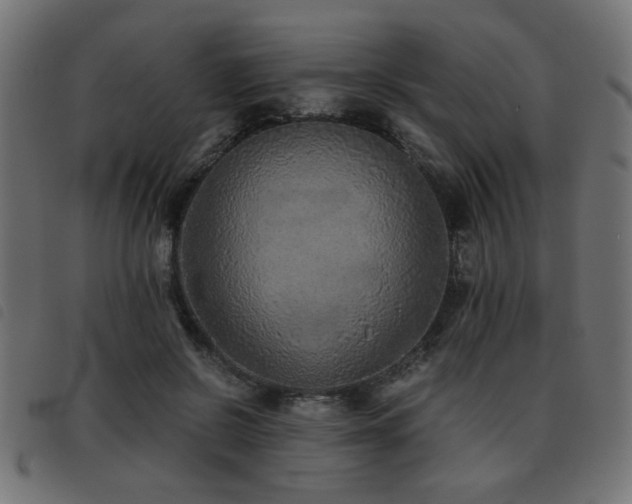 X0000093440550200710121335