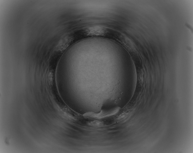 X0000093440551200710121335