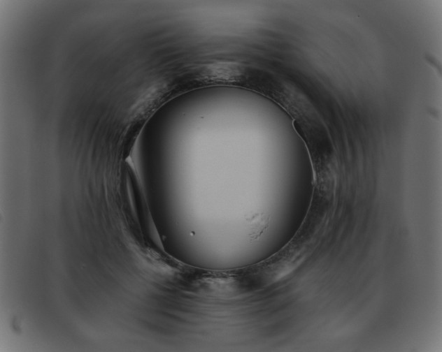 X0000093440552200710121335