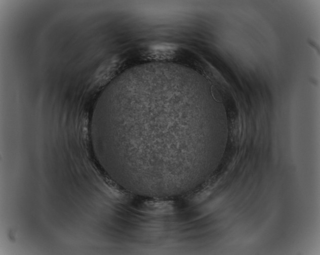 X0000093440553200710121335