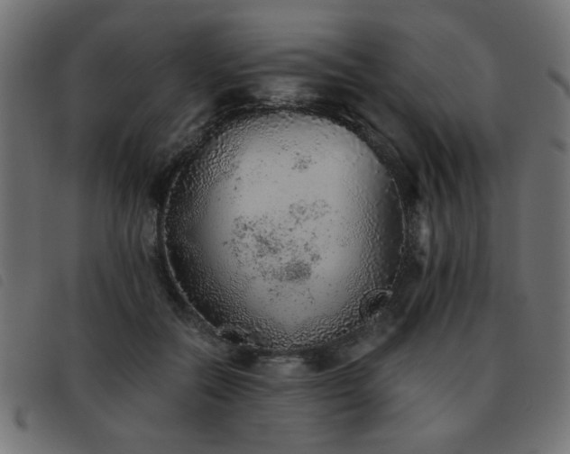 X0000093440554200710121335
