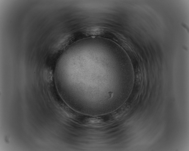X0000093440555200710121335