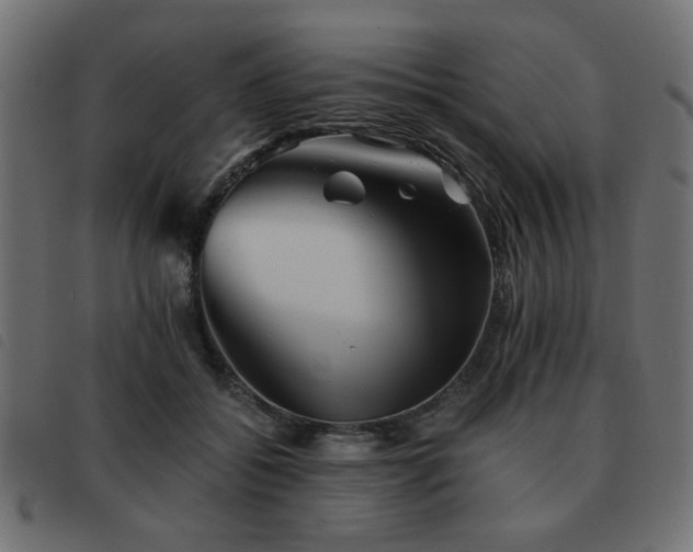 X0000093440556200710121335