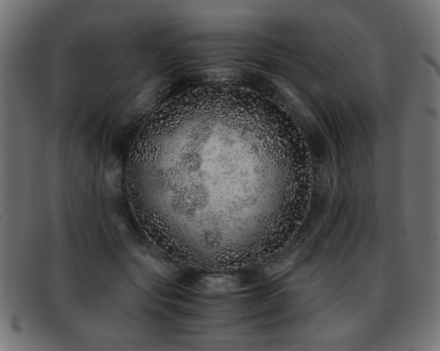 X0000093440557200710121335