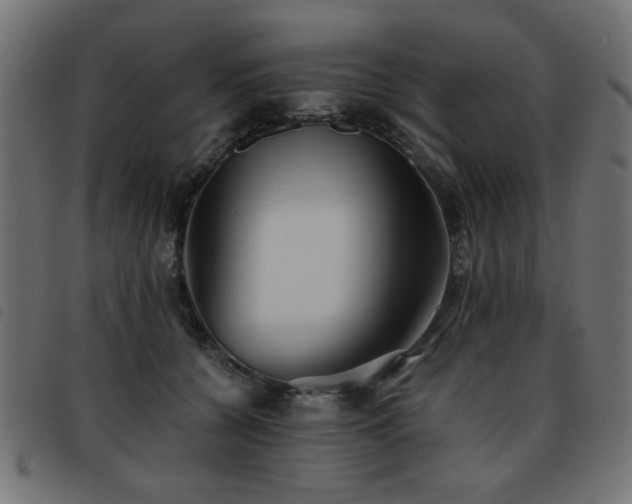 X0000093440560200710121335
