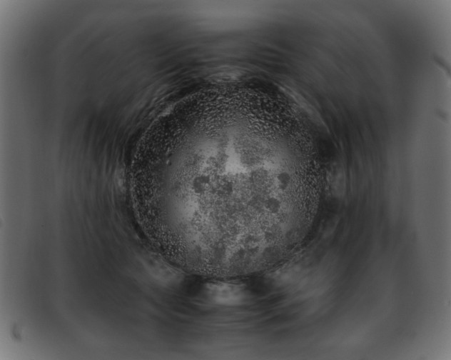 X0000093440561200710121335