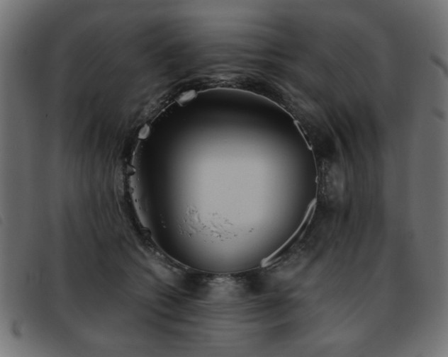 X0000093440562200710121335