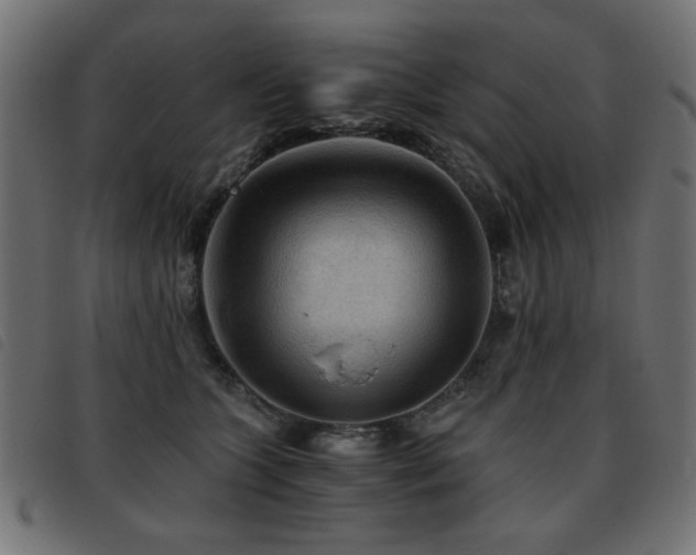 X0000093440563200710121335