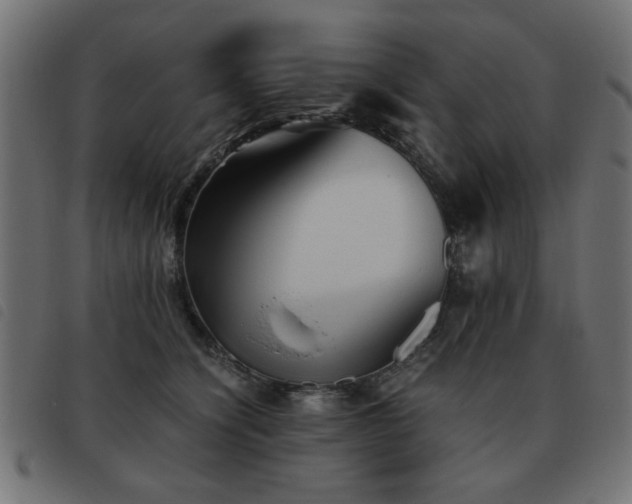 X0000093440564200710121335