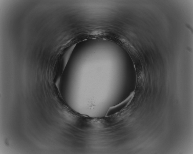 X0000093440566200710121335