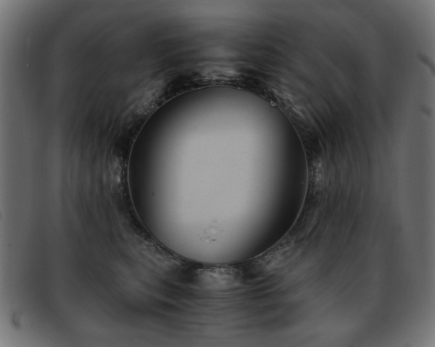 X0000093440567200710121335
