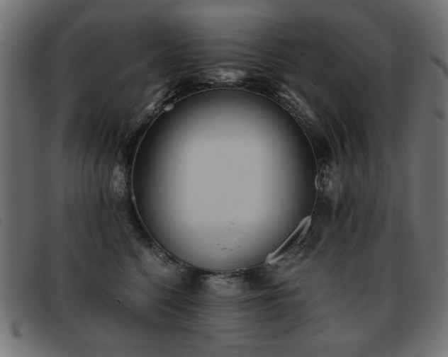 X0000093440568200710121335