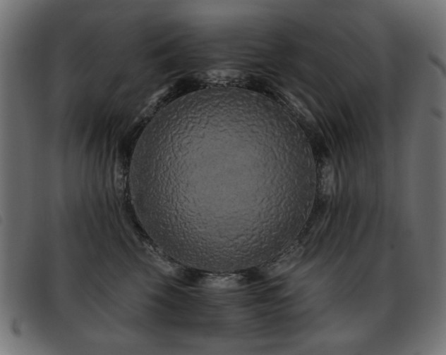 X0000093440569200710121335