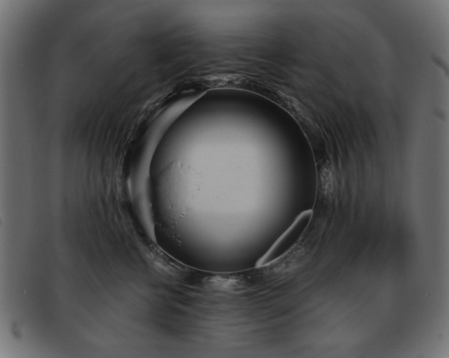 X0000093440570200710121335