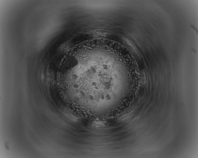 X0000093440573200710121335