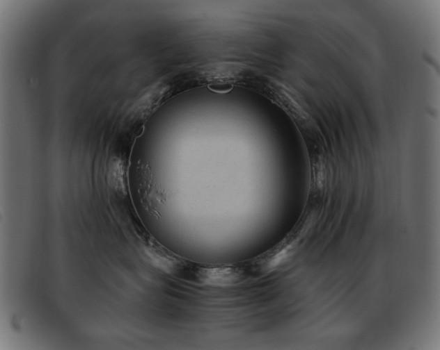 X0000093440575200710121335