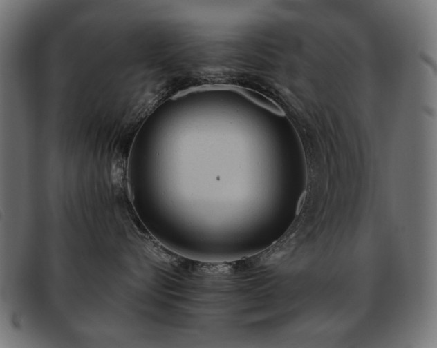 X0000093440576200710121335