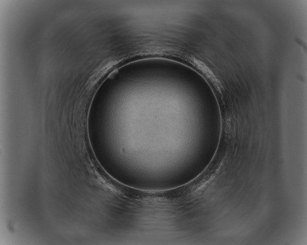 X0000093440577200710121335