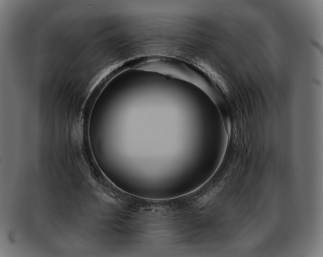 X0000093440580200710121335