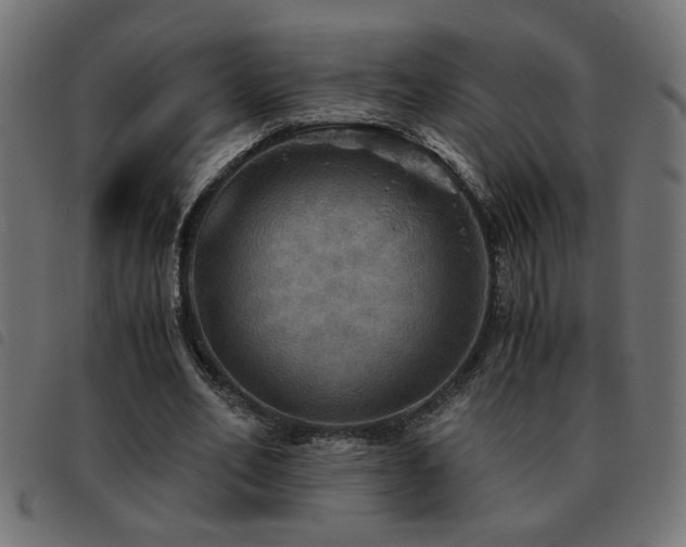 X0000093440582200710121335