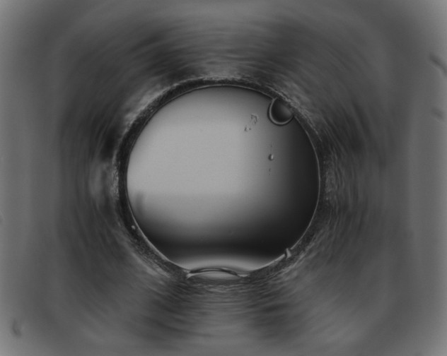 X0000093440584200710121335