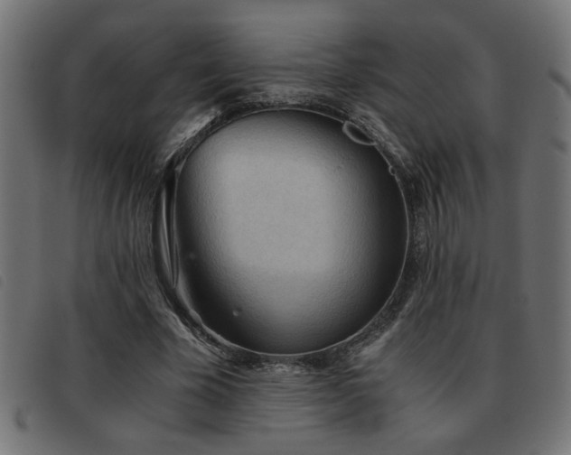 X0000093440585200710121335