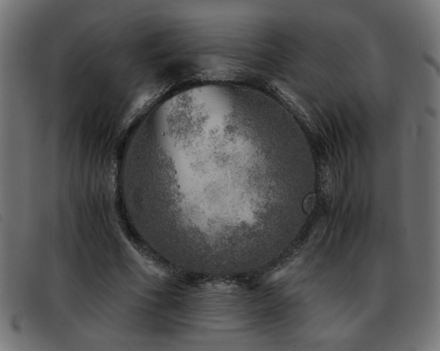X0000093440586200710121335