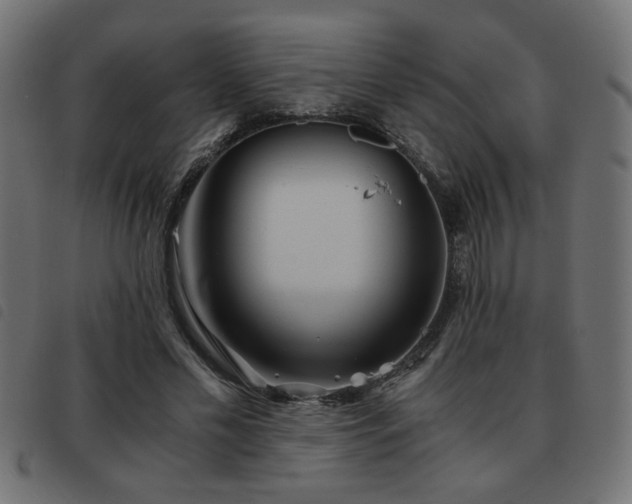 X0000093440589200710121335