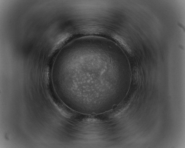 X0000093440590200710121335