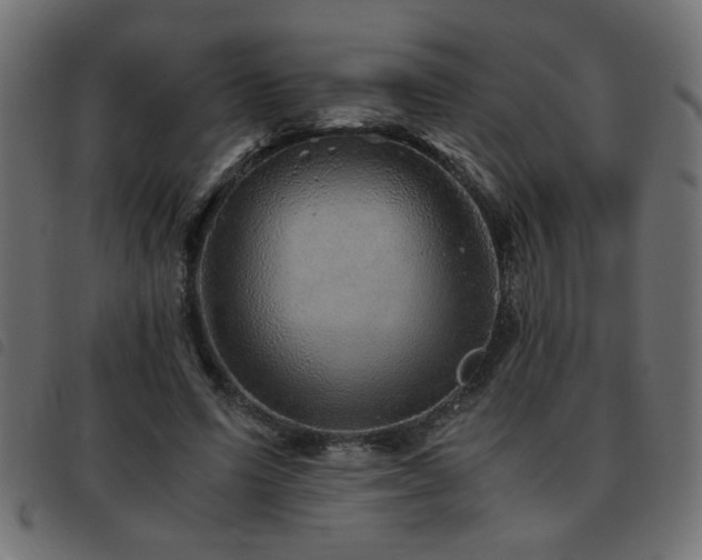 X0000093440591200710121335