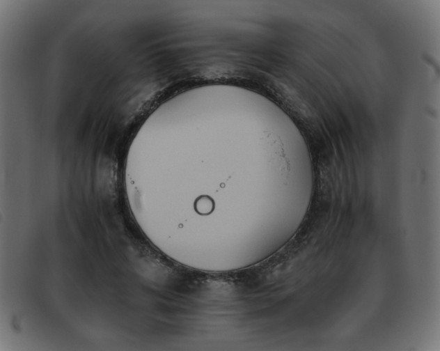 X0000093440592200710121335