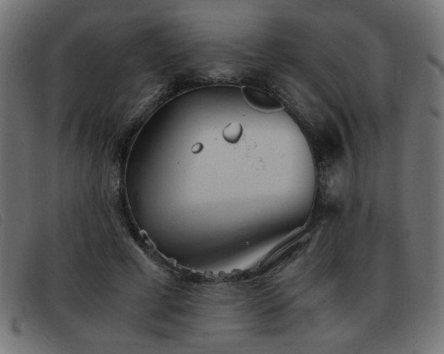 X0000093440593200710121335