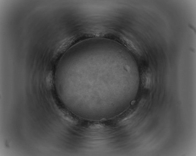 X0000093440594200710121335