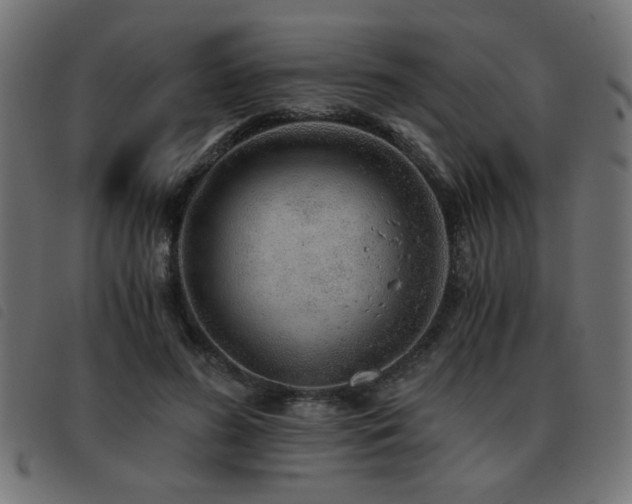 X0000093440596200710121335