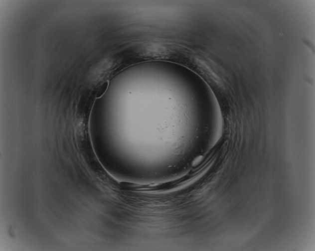 X0000093440597200710121335
