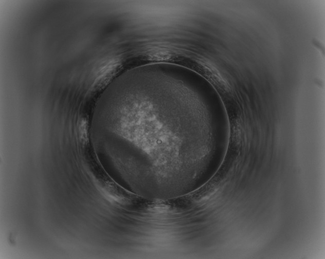 X0000093440598200710121335